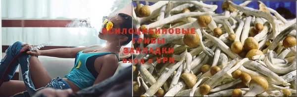 мет Алексеевка