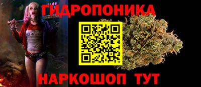 скорость Пугачёв