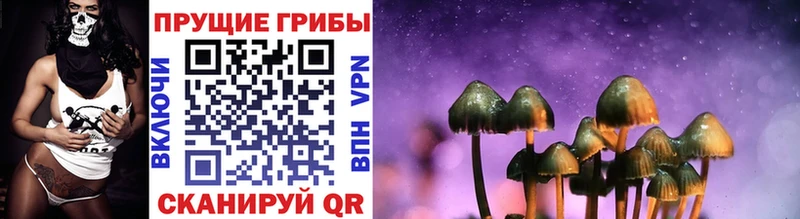 Псилоцибиновые грибы GOLDEN TEACHER  как найти   KRAKEN сайт  Тайшет 