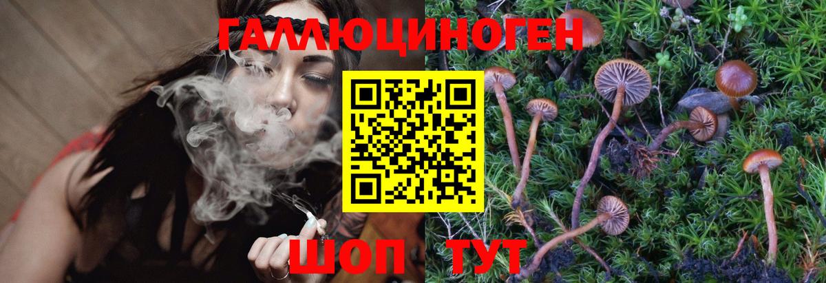 купить закладку  Вход с VPN  Тайшет  Галлюциногенные грибы Magic Shrooms 